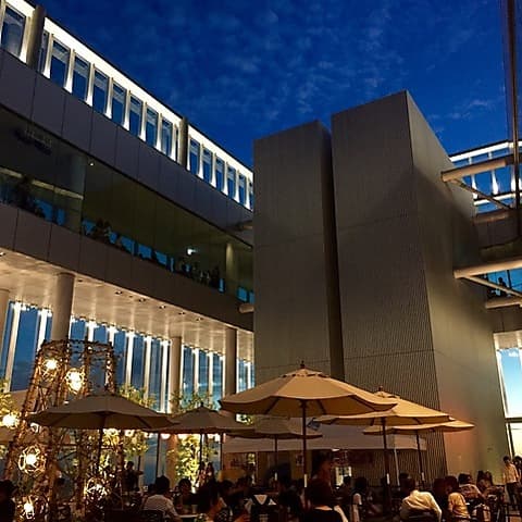 SKY GARDEN スカイガーデン 300